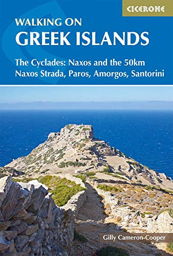 Book cover showing a rocky path leading to a hill overlooking the blue sea.
