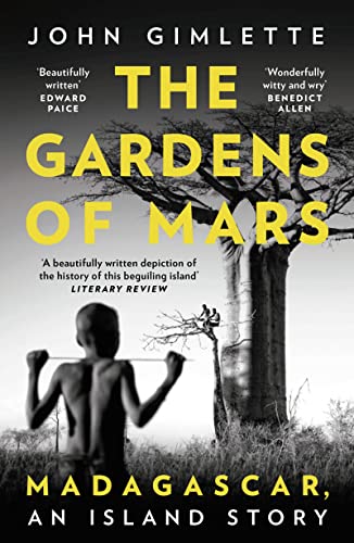 Book cover: boy with kite facing a large baobab tree in Madagascar.