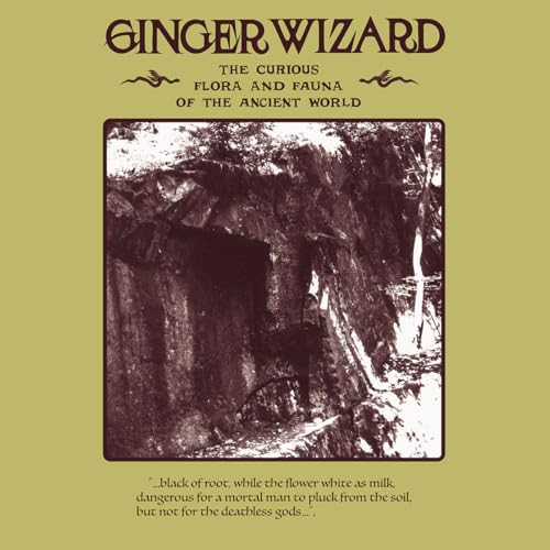 Vinyl record cover: sepia-toned forest scene with a dark cave entrance.