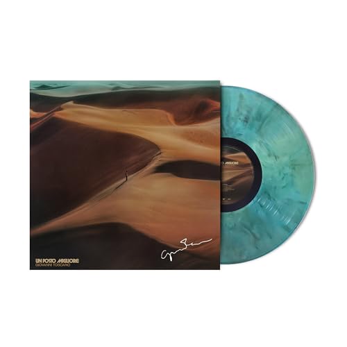 Vinyl record with desert landscape cover art, teal and brown tones.