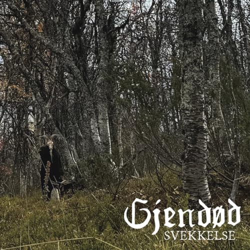 CD cover: Figure in dark clothing stands in a birch forest.