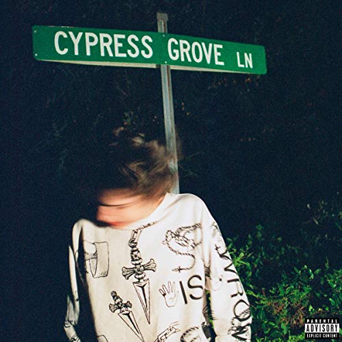 Blurred person below a green "CYPRESS GROVE LN" street sign at night.