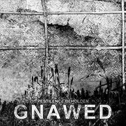 "Album cover art: 'Gnawed' by Pestilence Beholden, featuring a grungy black-and-white medieval scene."