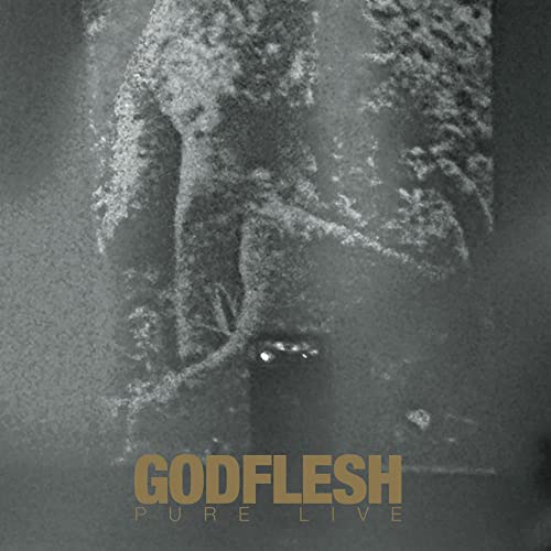 Godflesh "Pure: Live" CD cover, grainy texture, dark and metallic aesthetic.