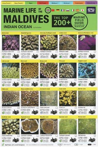 Maldives marine life field guide cover displaying various coral species.