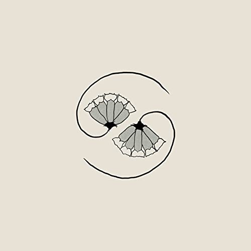 Beige album cover with a circular design of two sketched poppy flowers.