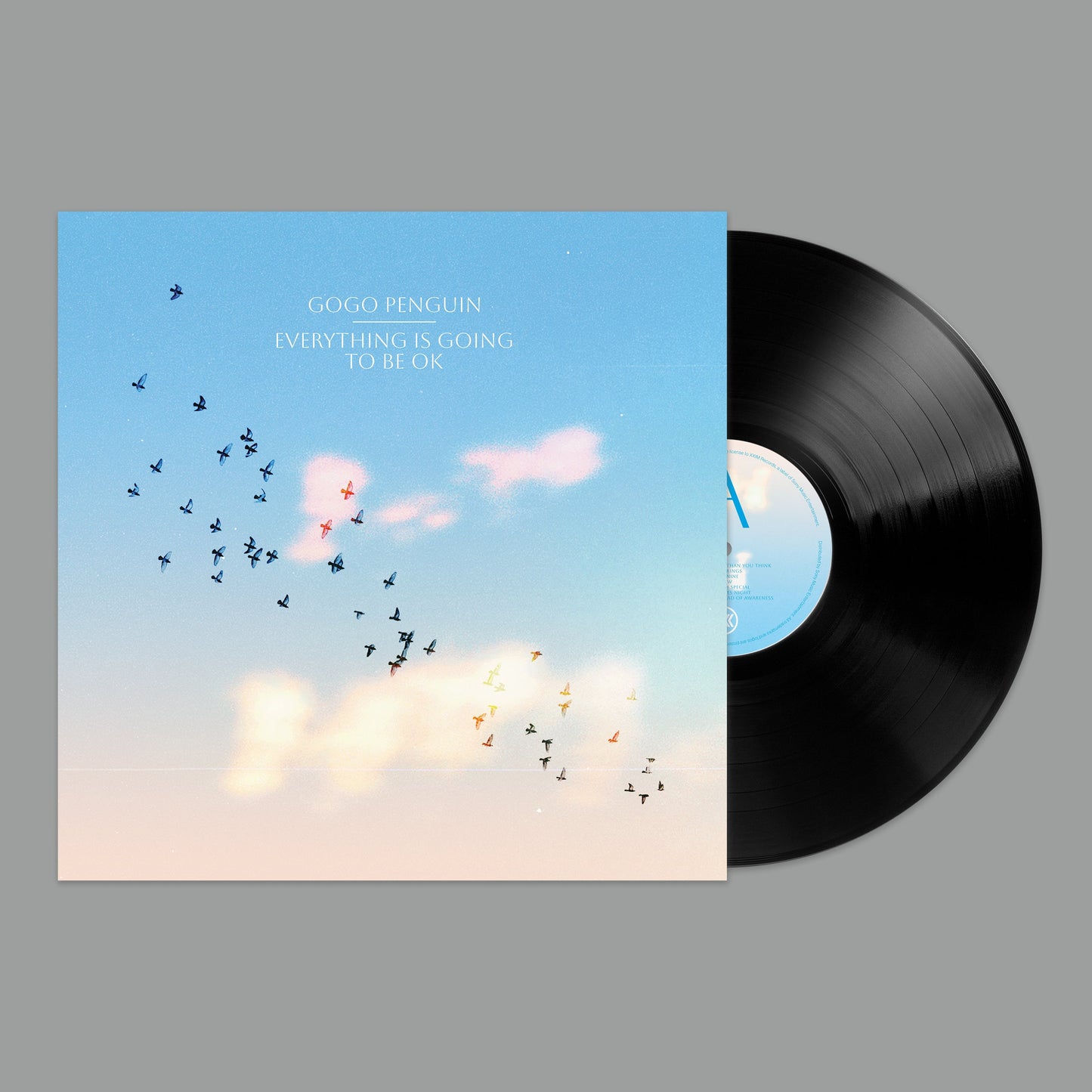 "Vinyl record with blue and pink album cover featuring flying birds against a cloudy sky."