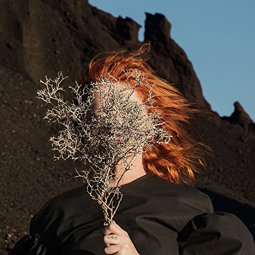 Red-haired woman holding a dry plant, obscuring her face, against a rocky background.