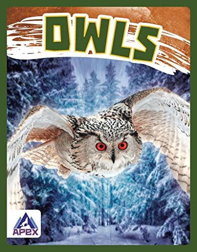 Book cover featuring a snowy owl in flight against a winter forest.