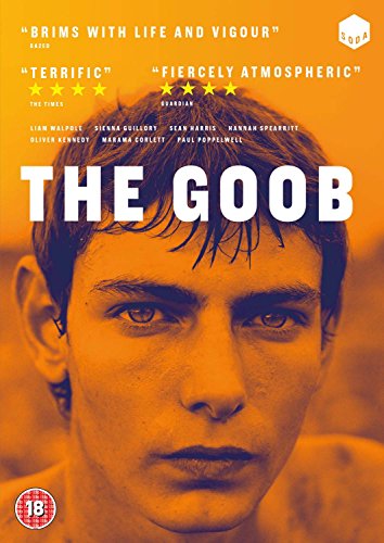 DVD cover art featuring a close-up portrait of a young man in orange tones.
