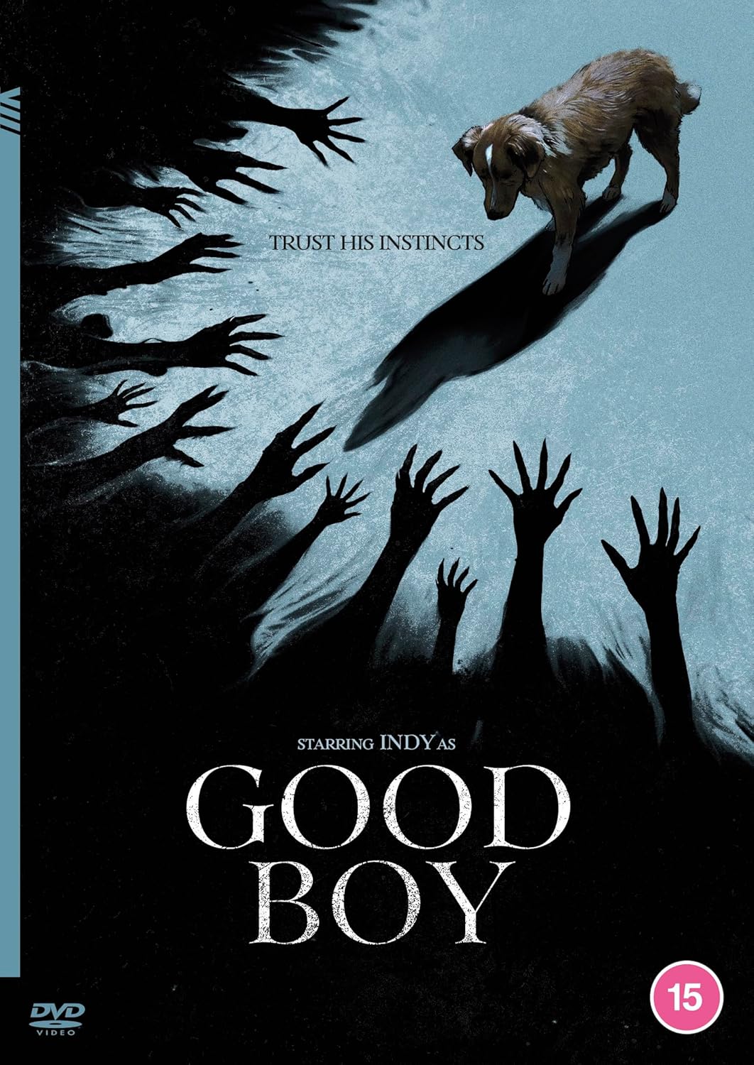 A dog stands above dark, reaching hands on a blue and black DVD cover.
