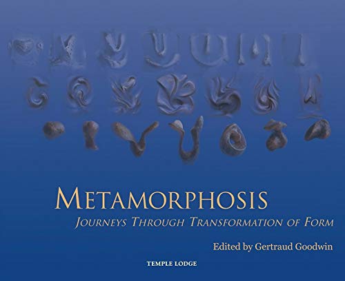 Book cover with abstract, sculpted forms in blue tones and title text.