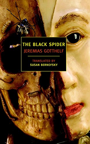 Book cover featuring a split face, half human and half skull, with a spider.