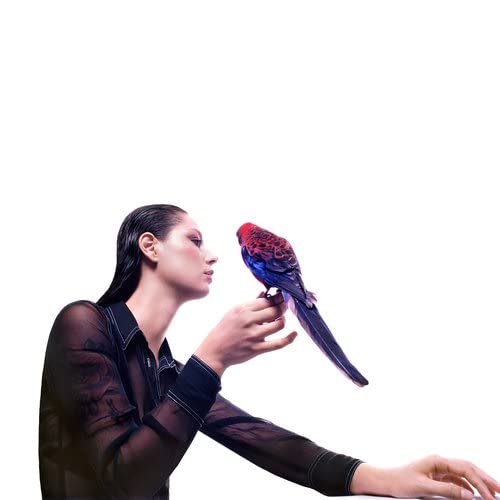Woman with a red and blue parrot perched on her outstretched hand.