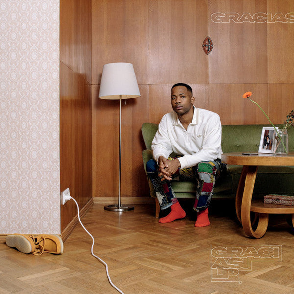 Vinyl album cover featuring a man seated in a patterned room.