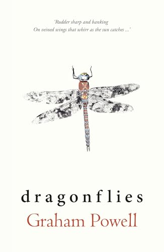 Book cover featuring a detailed, illustrated dragonfly and title "Dragonflies".