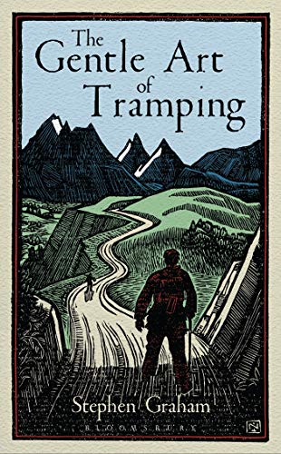 Book cover: hiker with backpack facing mountains and winding road.
