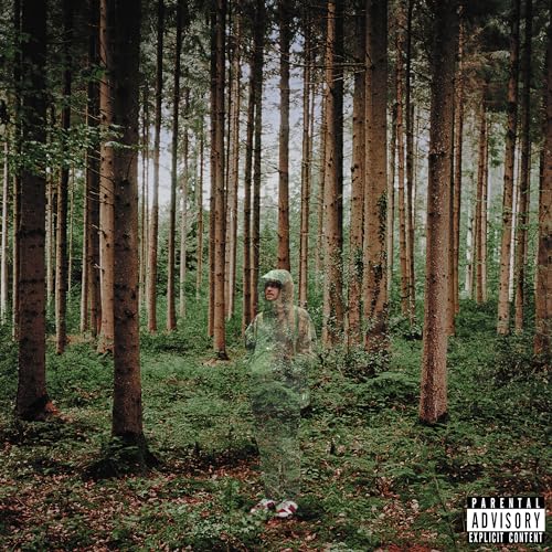 Person in camouflage stands amongst tall trees in a forest.