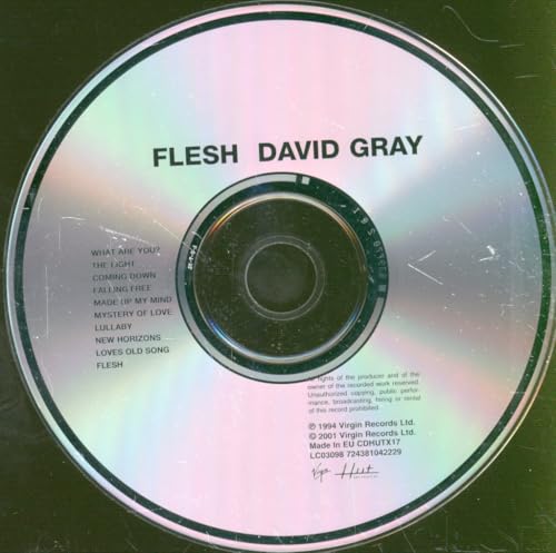 CD with "Flesh David Gray" text and tracklist details printed on it.