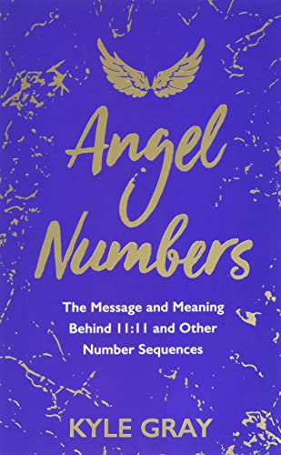 Book cover with gold text and wings on a textured blue background.