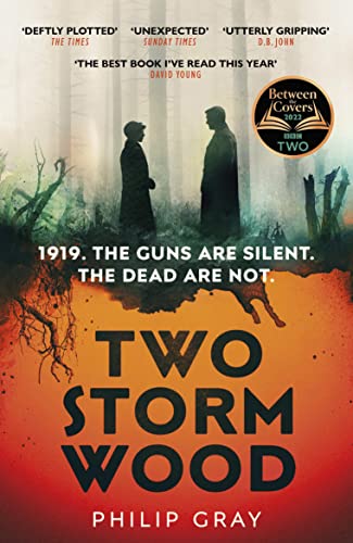 Book cover: Two figures in a misty wood, title “Two Storm Wood”.