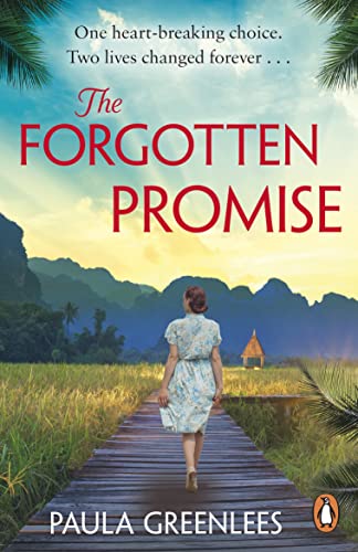 Book cover: woman on path with mountains, titled “The Forgotten Promise.”