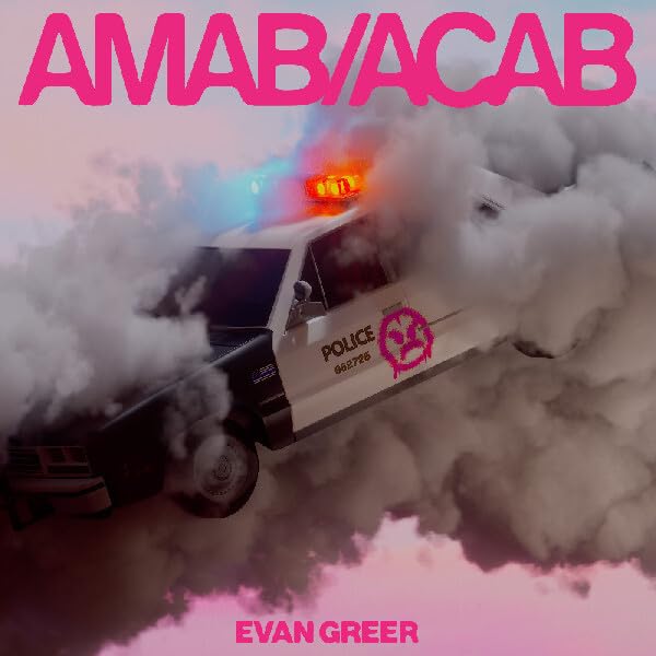 Album cover: police car in pink clouds with bold text "AMAB/ACAB".