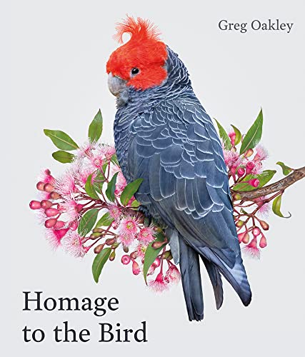 Book cover featuring a grey parrot with a red crest amongst blossoms.