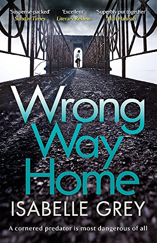 Book cover: a lone figure on a bridge, titled "Wrong Way Home".