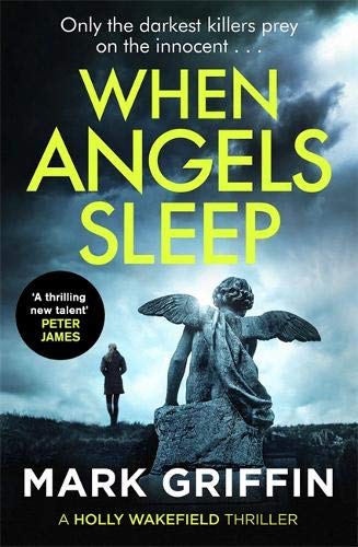 Book cover: stormy sky, angel statue, and a lone figure.