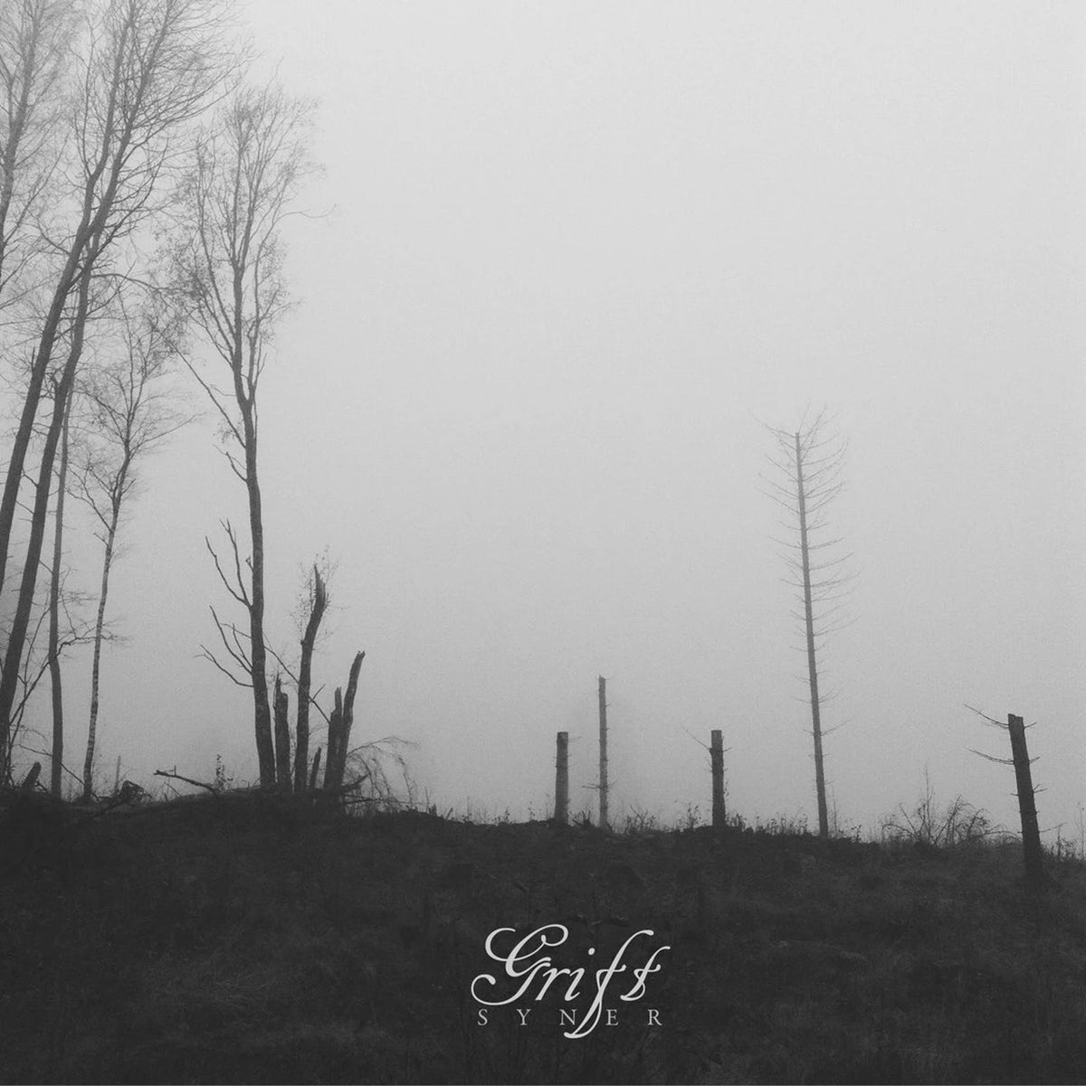 Black and white album cover showing thin, bare trees in a dense fog.