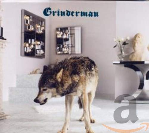 Grinderman 2 album cover: wolf in a room with classical sculptures.