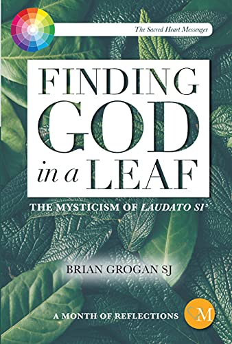 Book cover with green leaves and text: "Finding God in a Leaf.