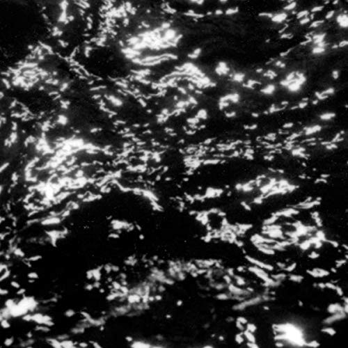 Abstract black and white textured image, resembling disturbed water or static.