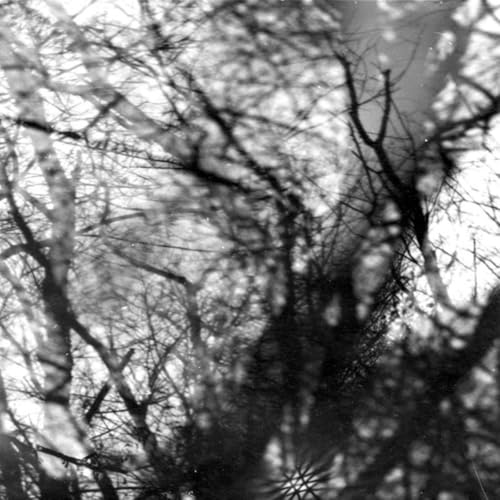 Grouper - Way Their Crept [VINYL]