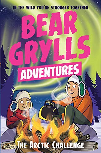 "Book cover featuring cartoon children by a campfire under the aurora borealis."