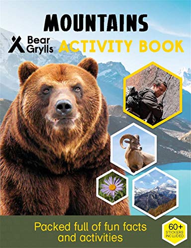 Bear Grylls sticker activity book featuring a bear and mountain scenes.
