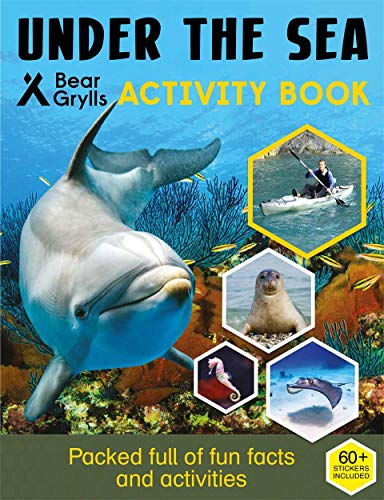 Bear Grylls activity book cover featuring a dolphin and underwater scenes.