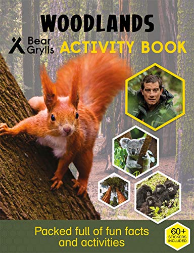 Bear Grylls Woodlands activity book cover with squirrel and animal images.