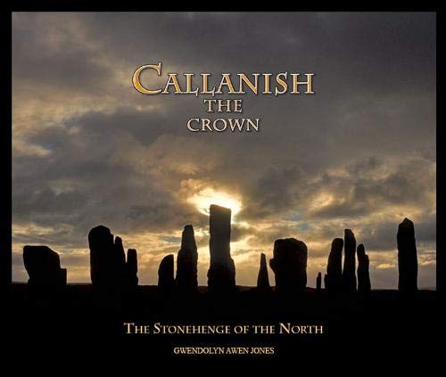 Standing stones silhouetted against a dramatic sunset sky, book cover.