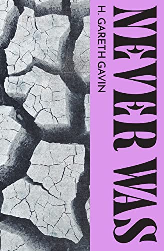 Book cover: cracked earth texture, purple background, bold white title "Never Was".