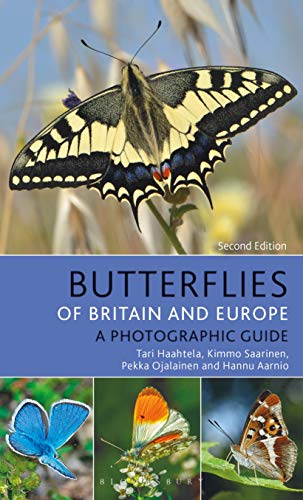 Book cover featuring a yellow and black swallowtail butterfly.
