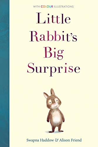 Book cover for Little Rabbit's Big Surprise featuring an illustration of a small rabbit.