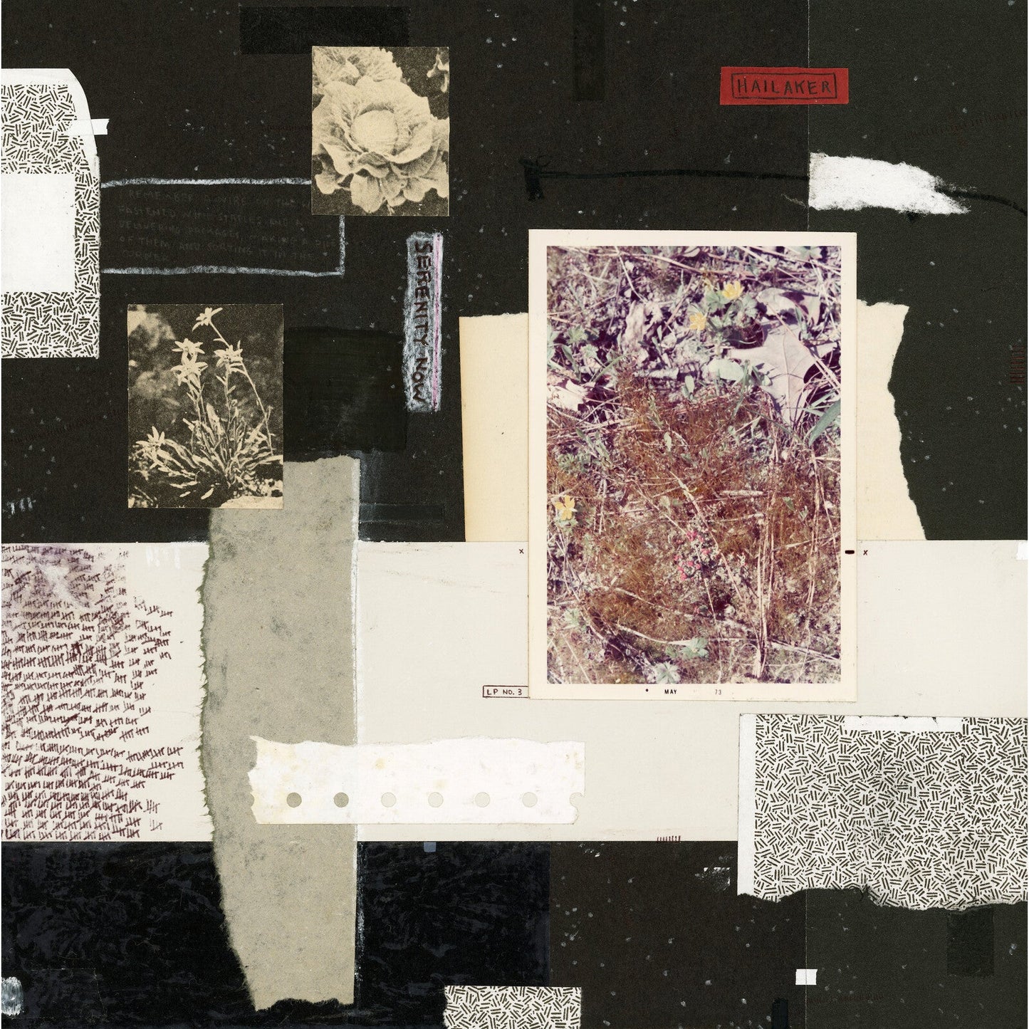 Collage of vintage photos, text, and floral imagery on a black background.