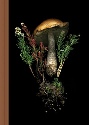 Dark cover featuring a large mushroom with ferns and foliage.