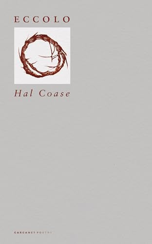 Gray book cover with red title, author name, and circular sketch.