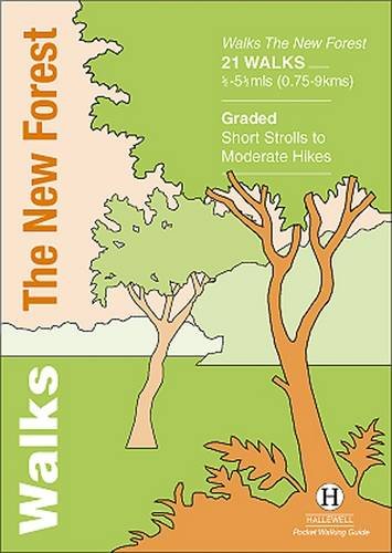 Map and walking routes in the New Forest, illustrated with trails and landmarks.