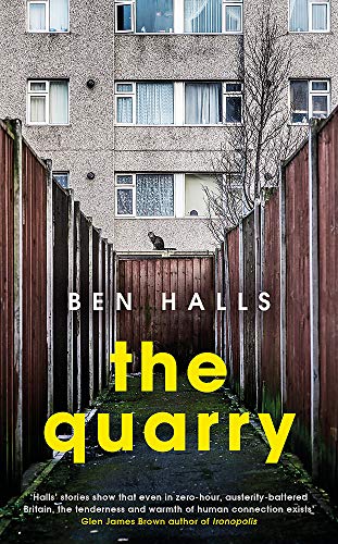 Book cover: a grey housing estate viewed through a narrow wooden fence.