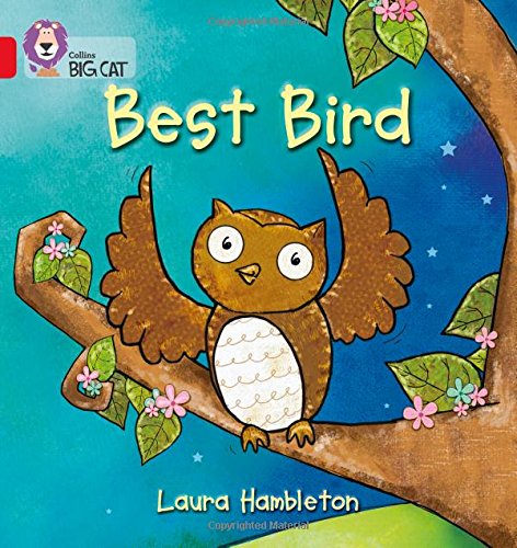 Book cover: cartoon owl on a branch with pink flowers.