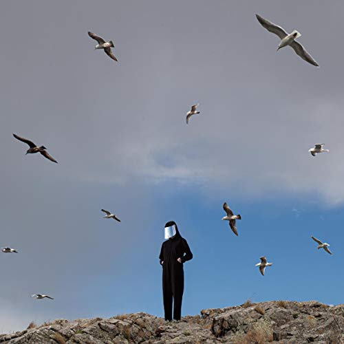 A person in black attire with a seagull head stands on rocky terrain surrounded by flying seagulls.
